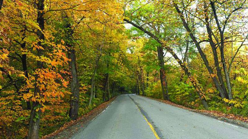 Experience Fall In Starved Rock Country