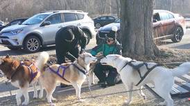Photos: Starved Rock State Park Hosts Sled Dog Demo