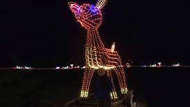 Start a new tradition at these holiday lighted displays