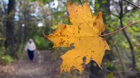 Photo Gallery: Fall Colors At Starved Rock and Matthiessen State Parks