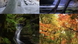 2025 Starved Rock, Matthiessen Calendars Now On Sale