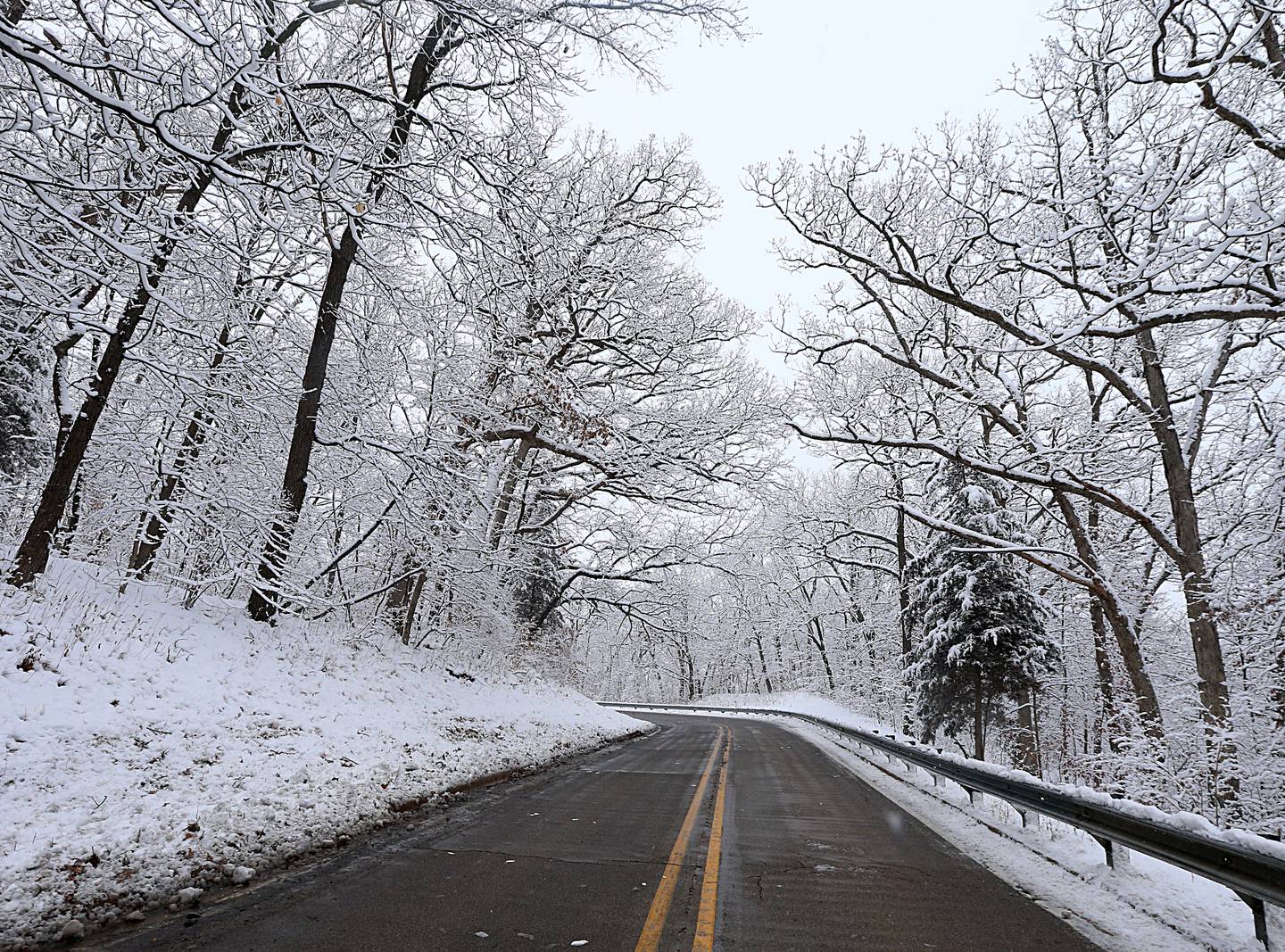 Snow covers trees along Illinois Route 71 on Wednesday, Jan. 25, 2023 in Starved Rock State Park.