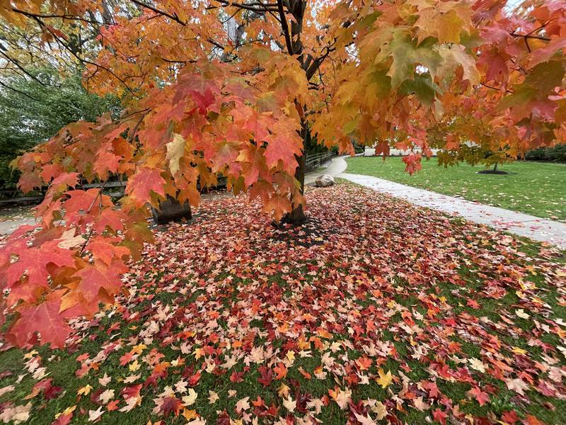 Photo provided by Starved Rock Lodge
