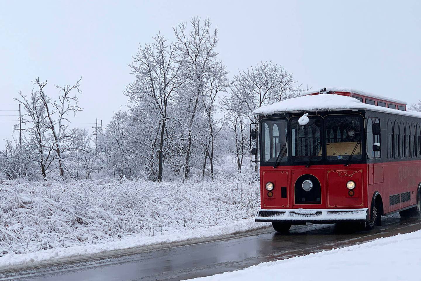 Wildlife Trolley Tour - Photo provided by Starved Rock Lodge and Conference Center